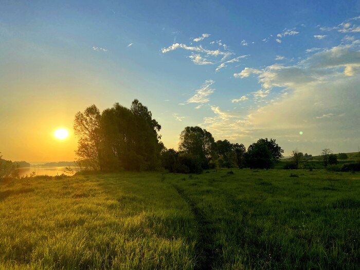 Утро на Свияге