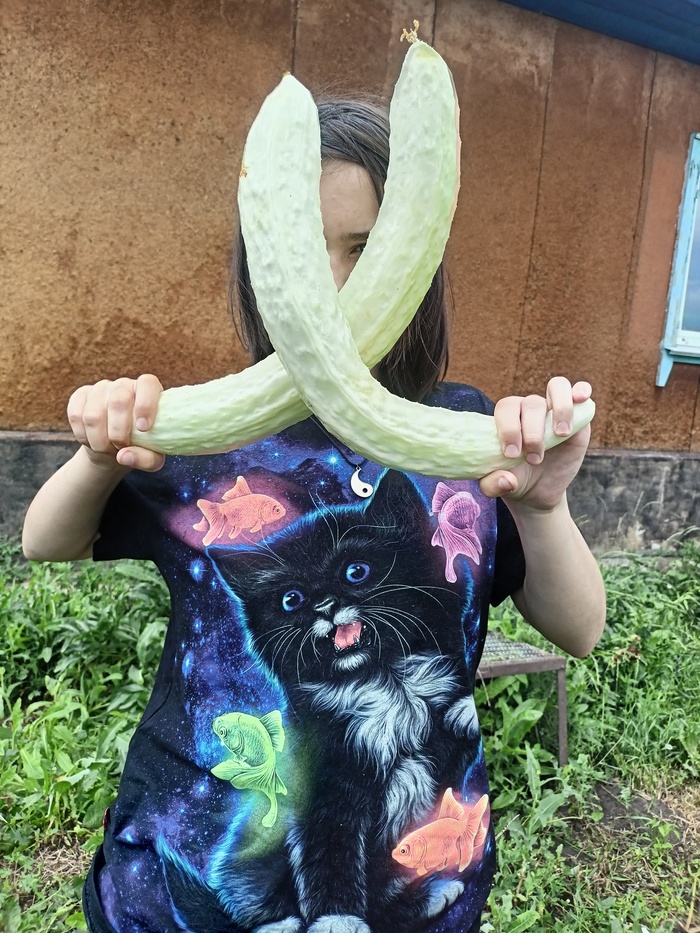   ....   , , 