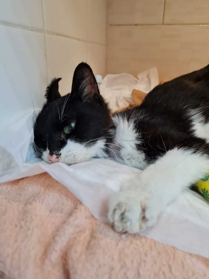 ������ � ��� ������