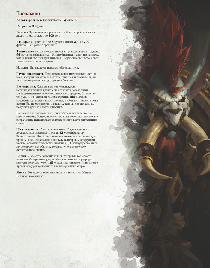  5 DnD 5, Dungeons & Dragons,   , ,  ,   , 