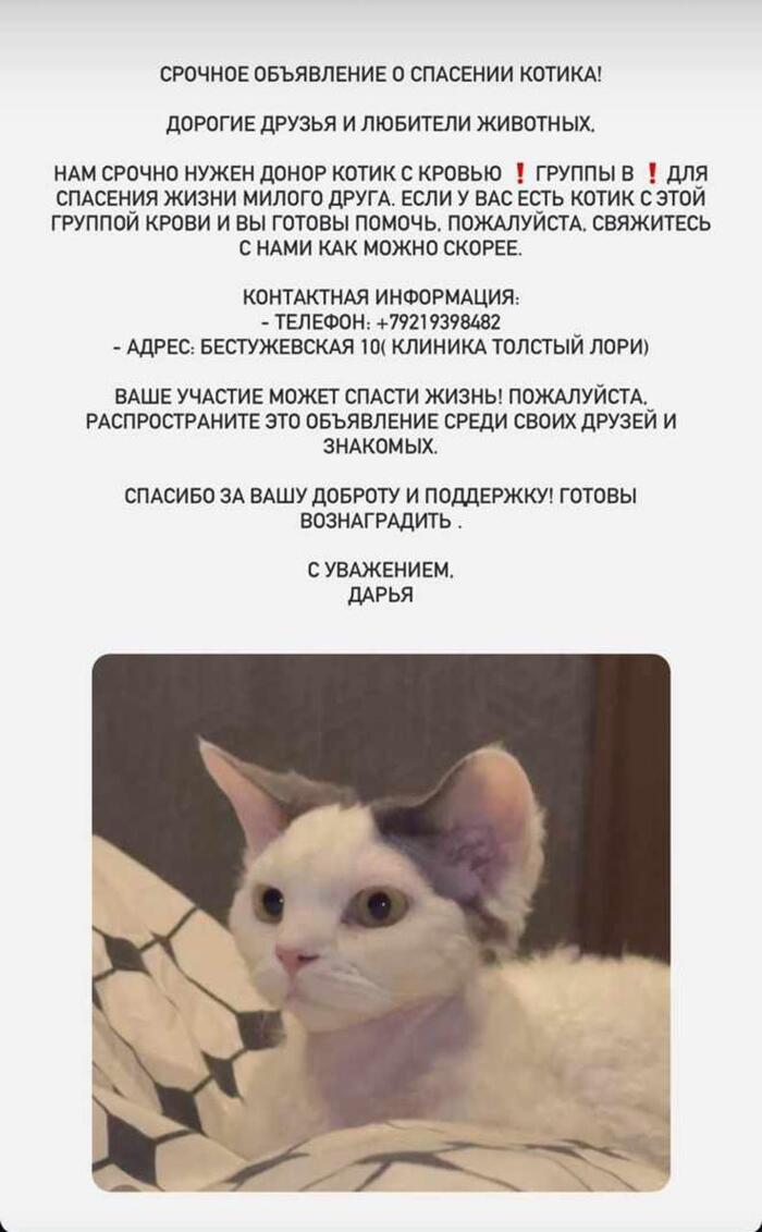 ������ ����� ����� ��� ���� � �����-����������