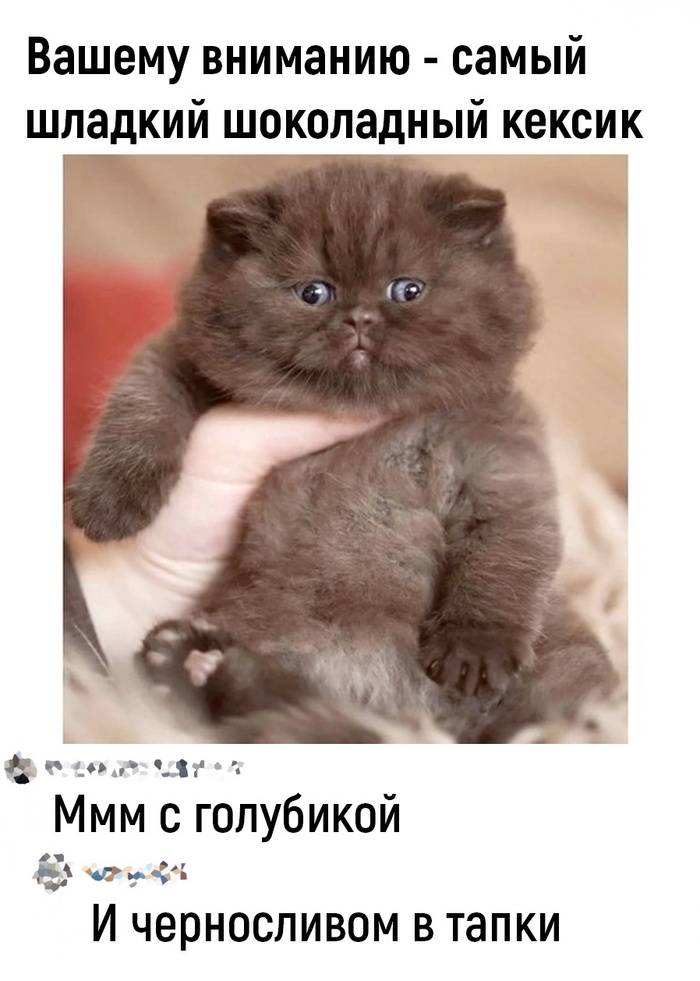 Шоколадный кексик