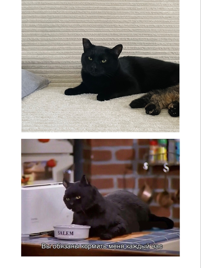       , ,  , ,  ,  ,   , , , , , 