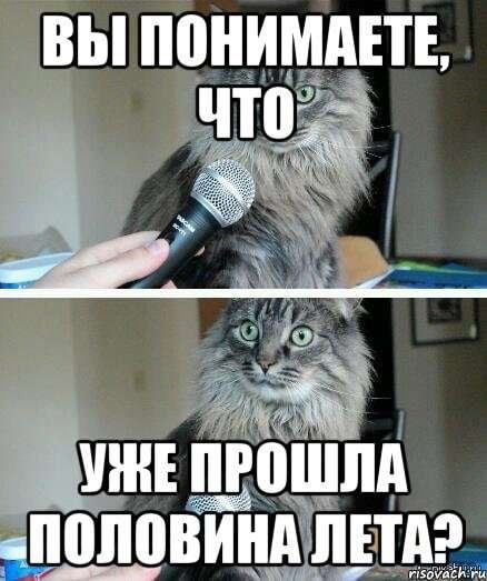 ������ �������...