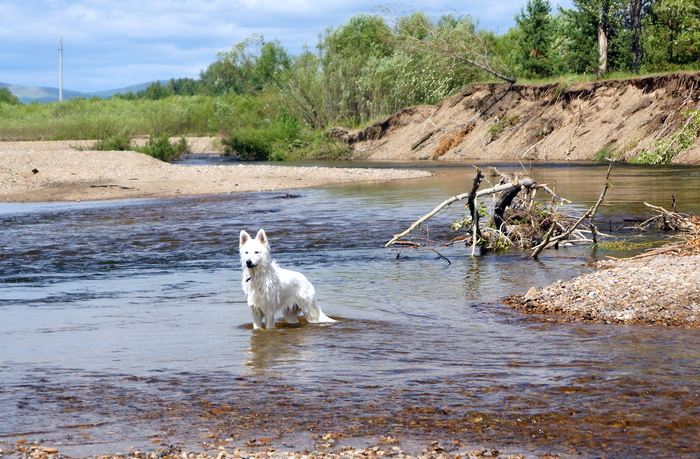 ����� �� ���� ������� (������������� ����)