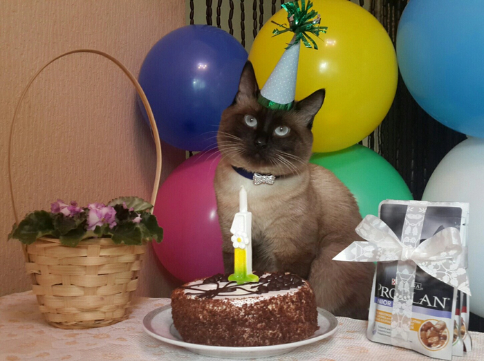 �� ���� ������� ��������� ���� ��������� ���� ������, ��������� 9 ��� �����🎂