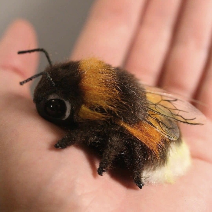 Сколько живёт пчела?