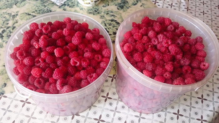 ������ 2024