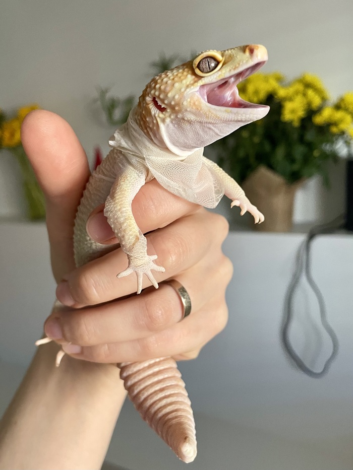 Грозный войн очень против вмешательства в личную жизнь