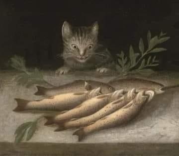 Средневековый котик