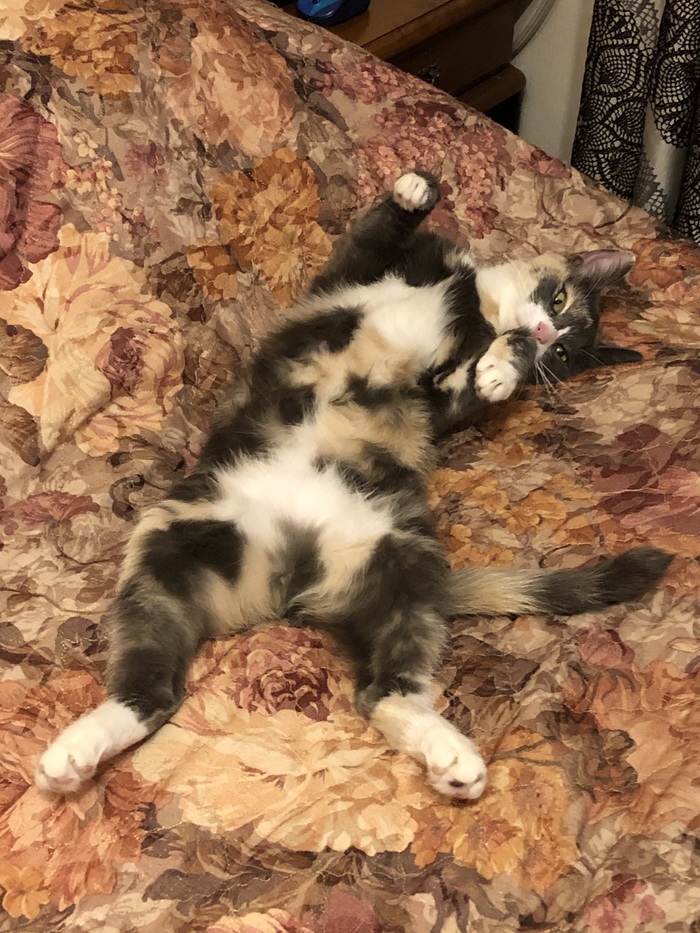   ,    ,     , , ,   , , ,  
