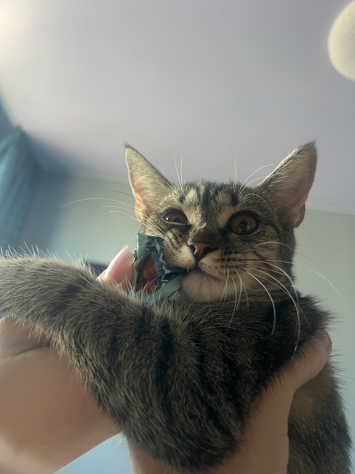 ����� �������� ����� � ����:)