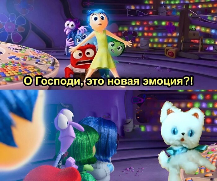Отчаяние? Или познание дзена?