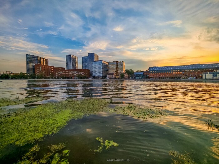 ������ ����� � ����� �� ������-����