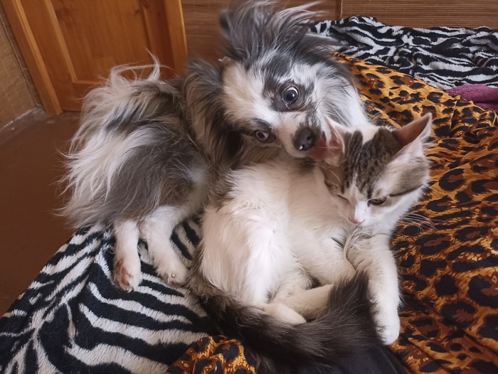        , ,    , , , ,   