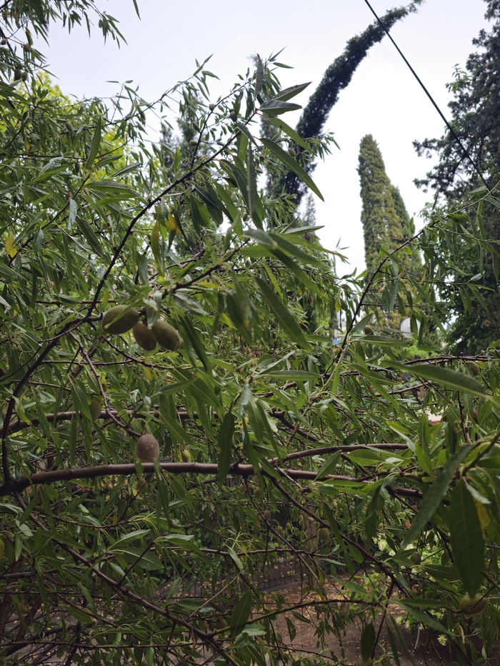 ������ ������ ��� ������