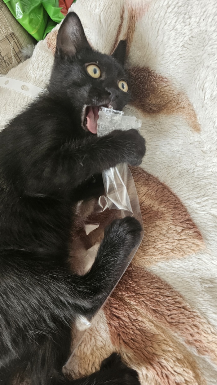 Какой же вкусный файлик