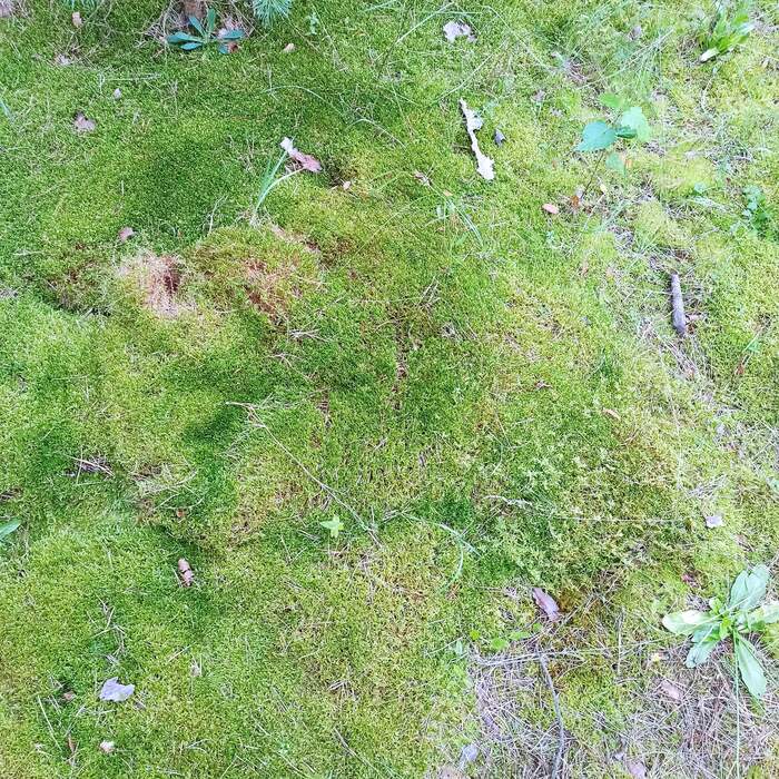 Лайфхак для хороших людей Отдых на природе, Отдых, Берег, Праздники, Отпуск, Длиннопост