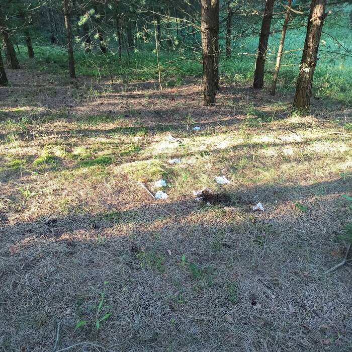 Лайфхак для хороших людей Отдых на природе, Отдых, Берег, Праздники, Отпуск, Длиннопост