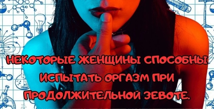 ����� ������: