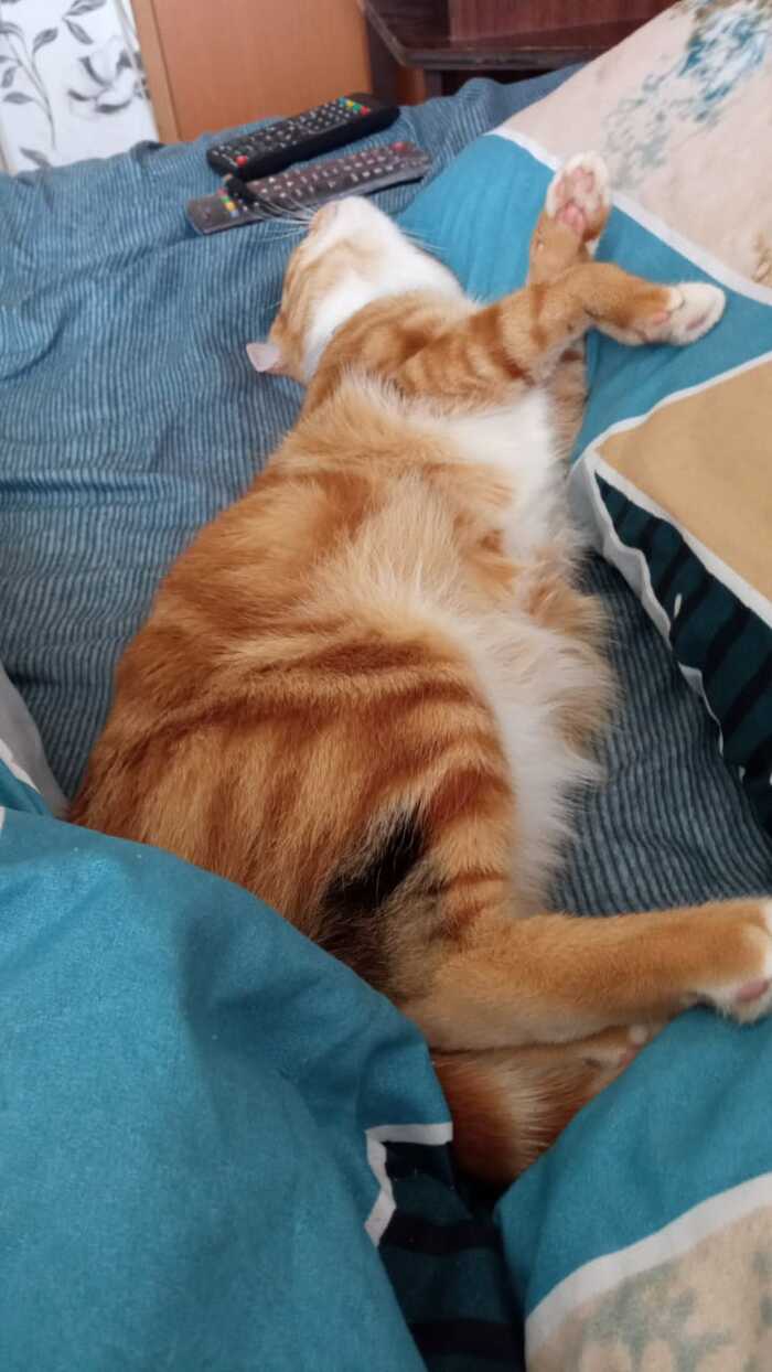     , , ,  , 