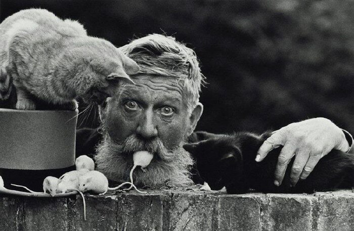 ������, �������-����