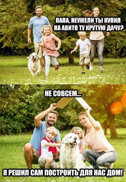 Даже собака не влезла