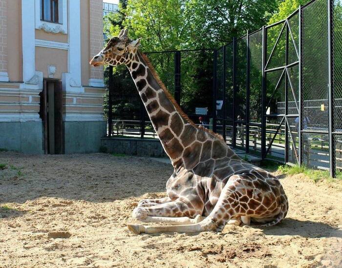 ���� ����� ������ �� ����������� ��������. ��� ���� 30 ��� � ��� ��� 100 ��� ��� ��������