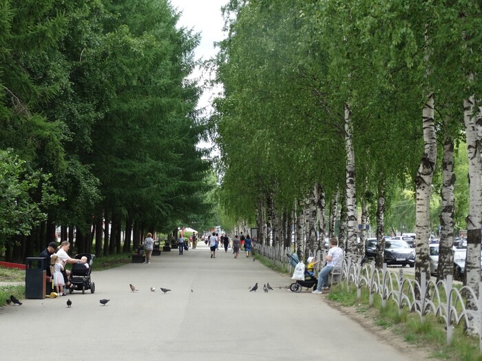 Побывал в Коми: много нефти и леса, но сутками нет воды