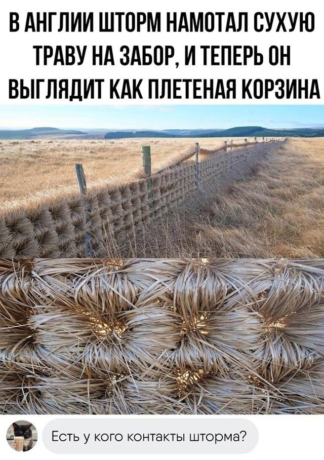 Когда природа лучший дизайнер)