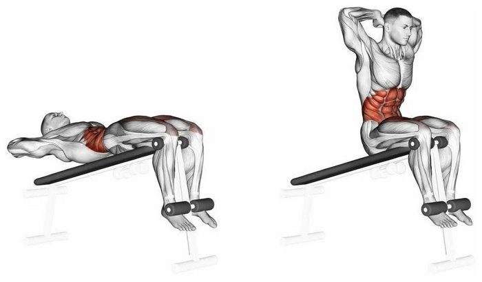 Пресс и как его накачать Ч.2 Тренажерный зал, Тренировка, Спортивные советы, Диета, Спортзал, ЗОЖ, Бодибилдинг, Упражнения, Фитнес, Правильное питание, Тренер, Пресс, Питание, Похудение, Бодибилдеры, Лишний вес, Длиннопост