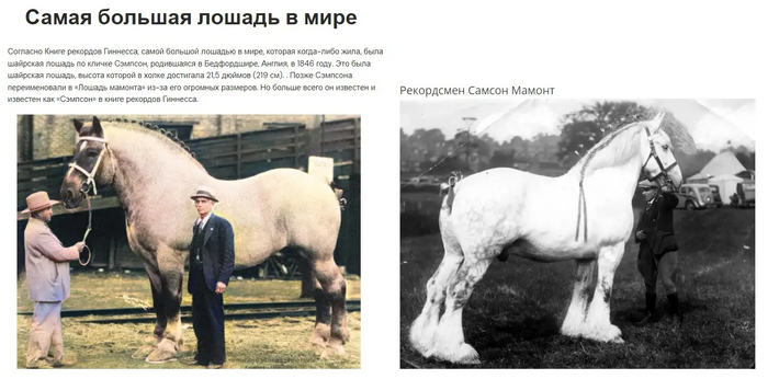 ����: ��������� ����� � ����� ������ �����