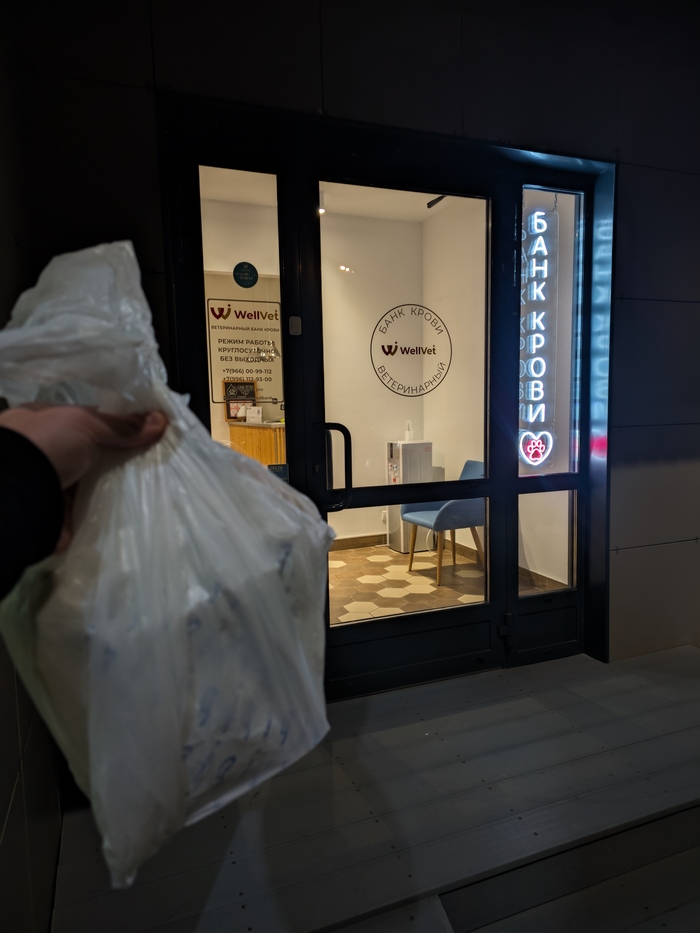 ����������� ����� ����� - ��������� ���� � ������. �����, ��������� � ���. ��� ��������