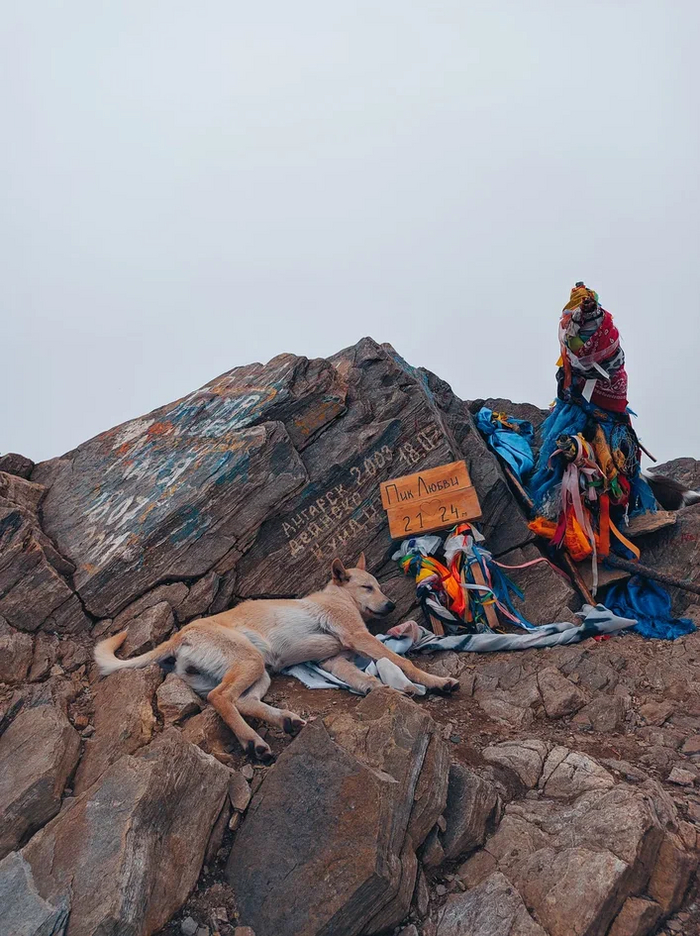 Белый фон - это облако, в котором мы оказались. Немного времени спустя нам открылся вид с вершины