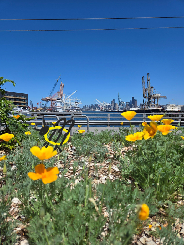 Мой набросок