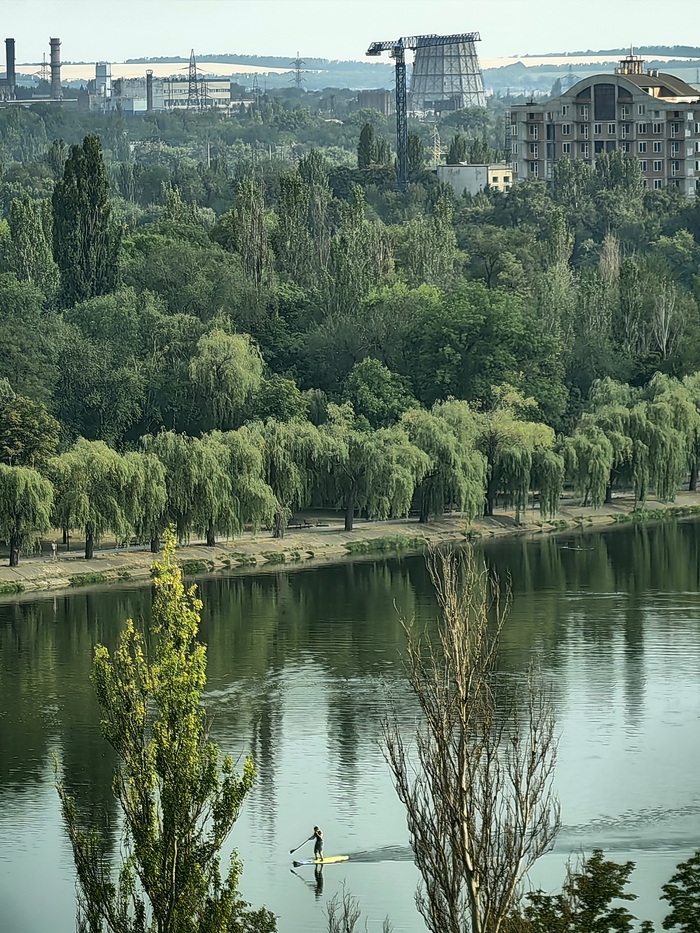 ������ ������