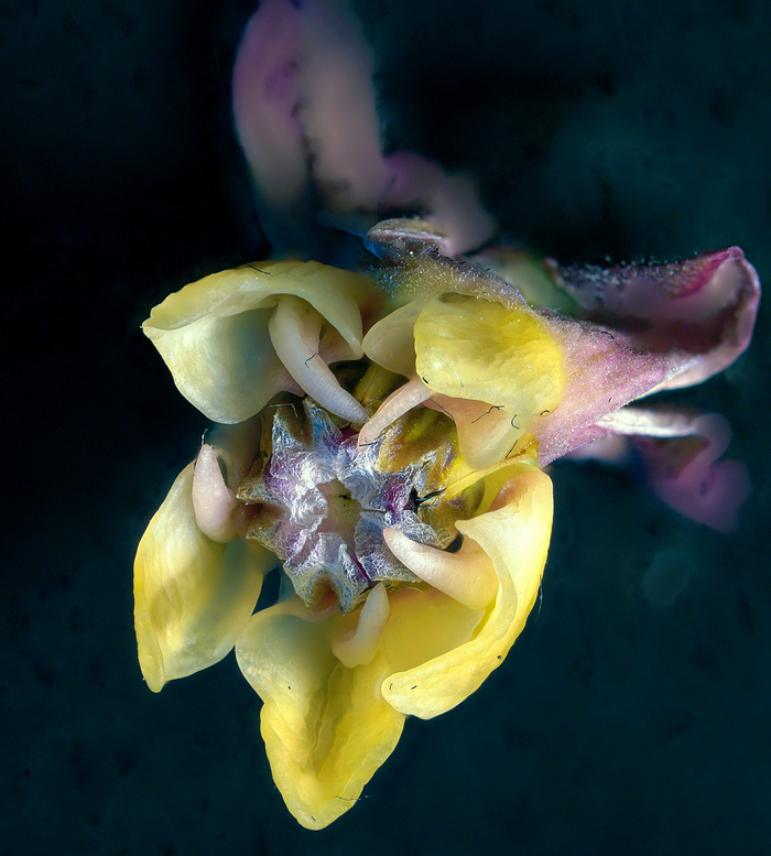 Чужие рядом с нами...