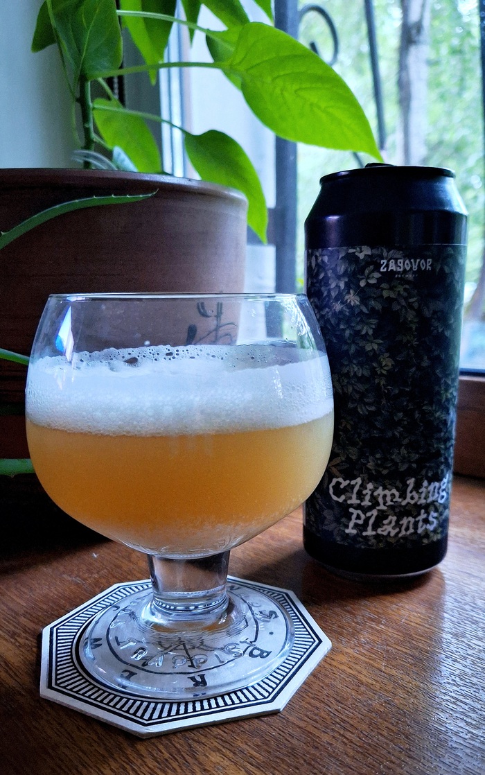  0,5.,  6,5%,  17%,  35ibu,   "" 4.1, ~390&#x20BD;