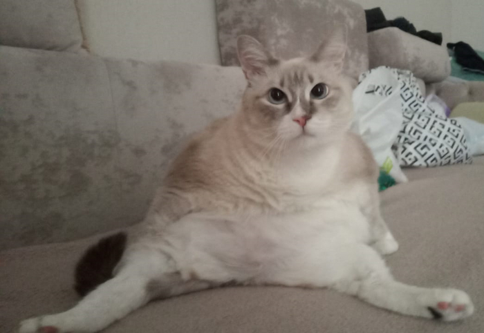 ������ ����� :)