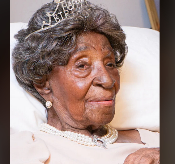 �������� �������, ��������� �� ���� ������� ����������, ����� ����������� 115 ���!