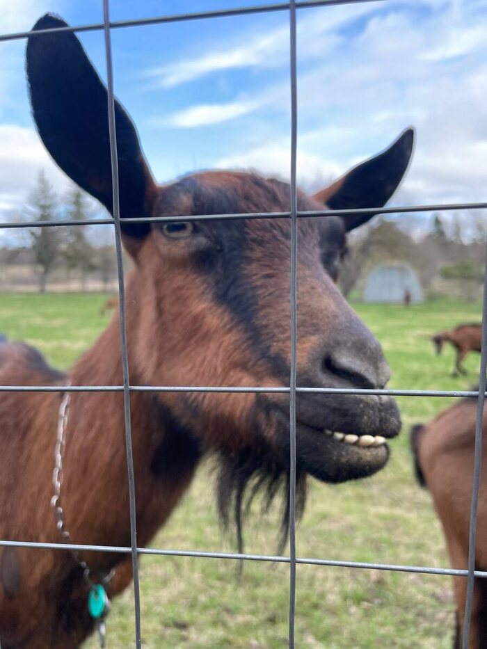 на автарку фоткается