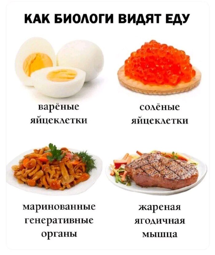 Вы то, что вы едите
