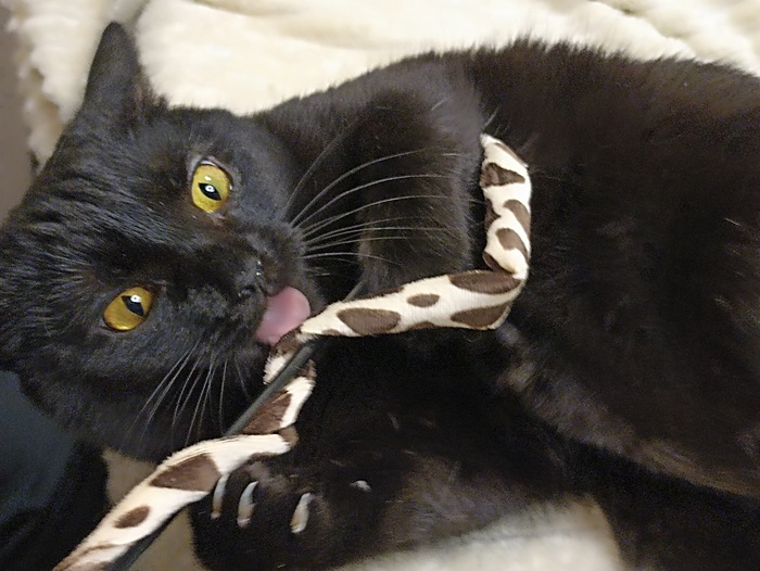 Мейзекин, дочь демонов