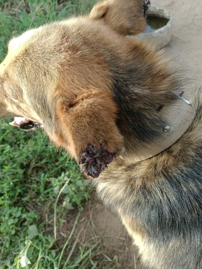 ��� ������? � ������ �� ���� ����� � ����������� ����