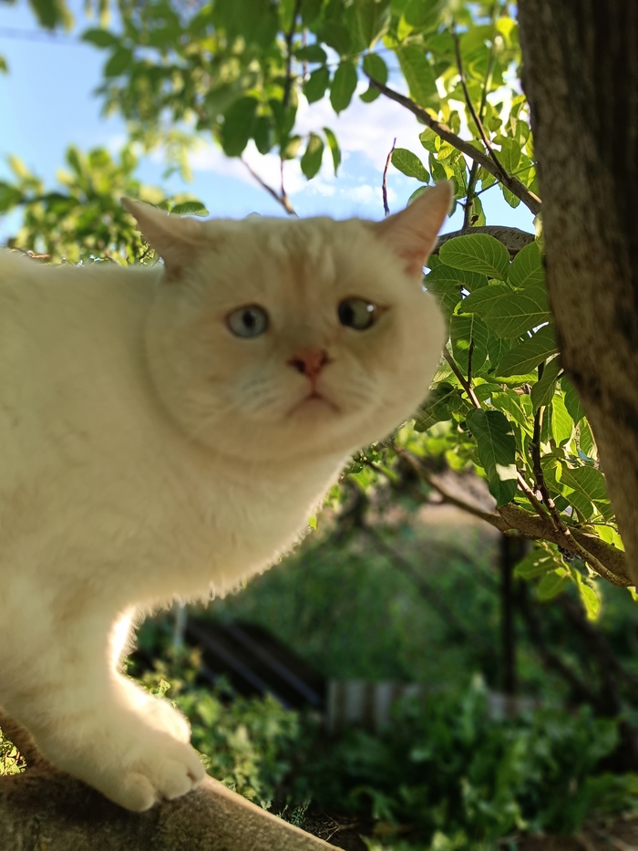 Быть открытым для контактной импровизации...