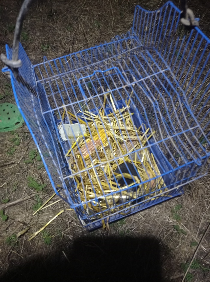 Он нас покинул. Рожа хомячья