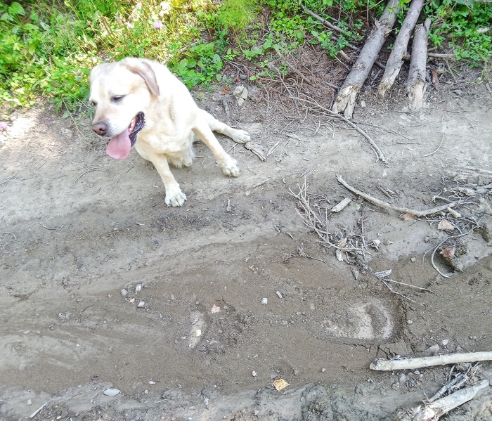 Зачем я это увидел?