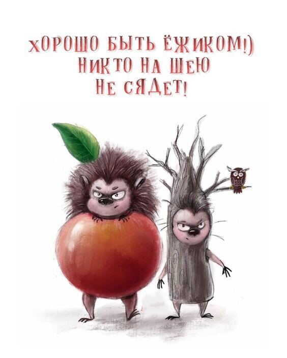 ����� ��������