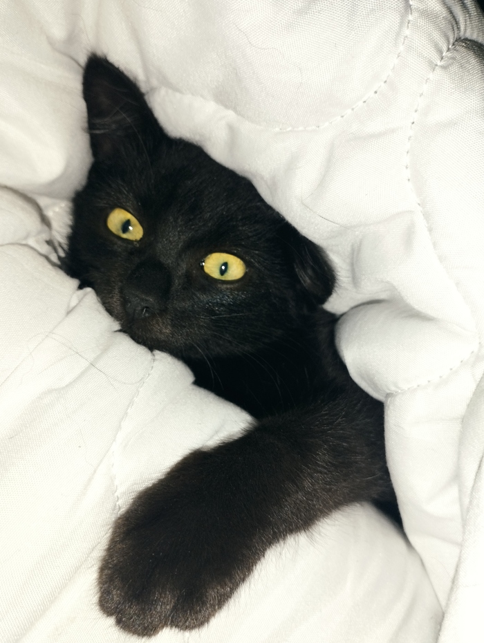 ������ ����. ���. � ����� ��������;)