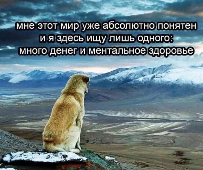 Когда после долгих лет разработки зарелизил свою первую инди-игру на энтузиазме и думаешь, чем заняться дальше.